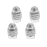 Swissdrive Valve Cap Silver - Image 2