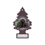 Little Trees Air Fresheners - Blackberry Clove