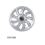FW Racing Hubcap Silver 15"