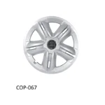 FW Racing Hubcap Silver 15"