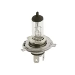 IG Tuning H4 100W/90W 24V Halogen Bulb 10Pcs