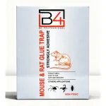 B4 Mouse Glue Trap